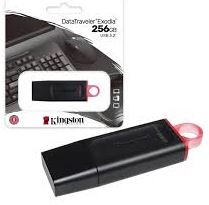 MEMORIA, KINGSTON, USB 256GB DTX3
