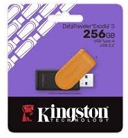 MEMORIA, KINGSTON, USB 256GB DTXS 3.2